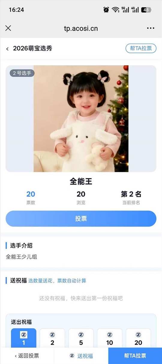 �����ͶƱϵͳ�ֻ���չʾ